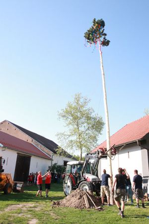 Maibaum 2018 (83)