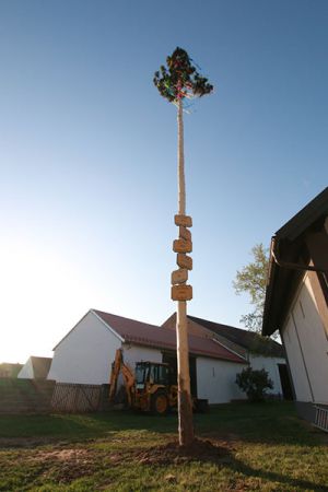 Maibaum 2018 (89)